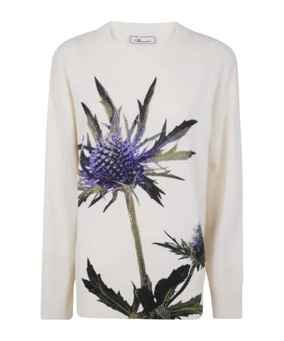 Blumarine Cardo Print Knitwear In Multi