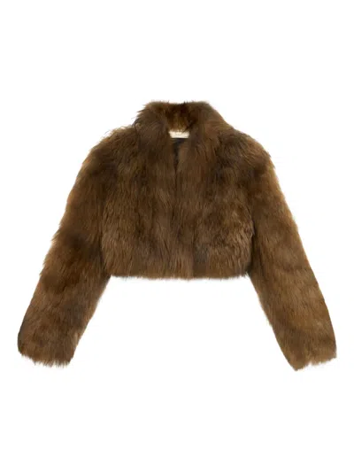 Blumarine Cropped Fur Jacket In Brown