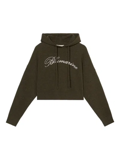 Blumarine Cropped Logo-embellished Hoodie In Green