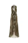 Blumarine Georg Leopard-print Maxi Dress