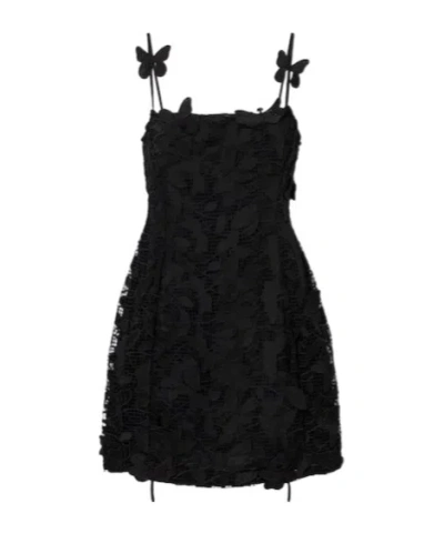 Blumarine Embroidered Lace Minidress In Black