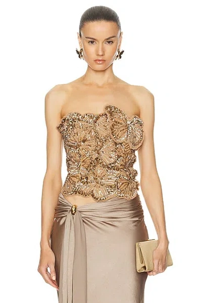 Blumarine Embroidered Strapless Bustier Top In Gold