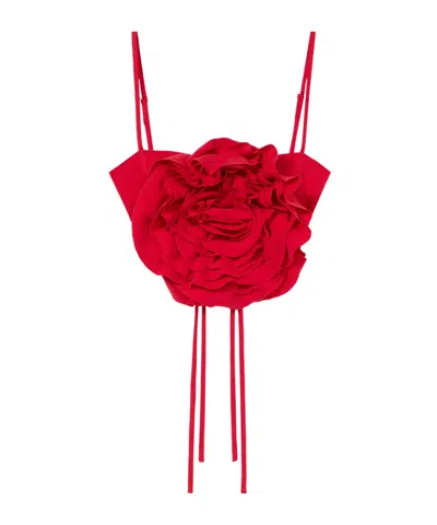 Blumarine Floral-appliqué Cropped Top In Red