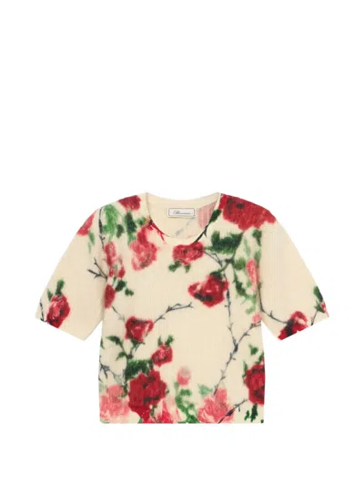 Blumarine Floral-print Rib-knit Sweater In Multi