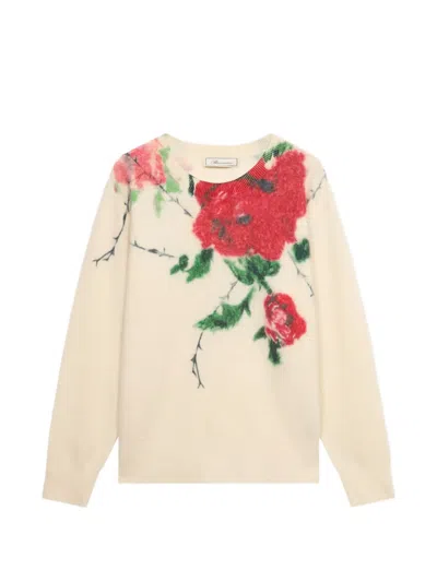 Blumarine Floral-print Sweater In 뉴트럴