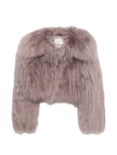 Blumarine Fur Cropped Jacket In Pink
