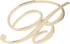 Blumarine Logo-plaque Earring In L0575 Light Gold
