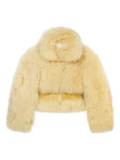 Blumarine High-neck Jacket In Yellow
