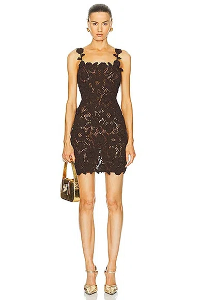 Blumarine Knit Mini Dress In Chocolate Brown