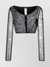 Blumarine Knitwear Sheer Embellished Cropped Length In Black