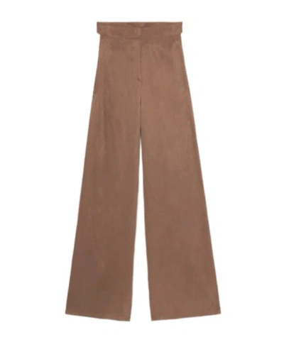 Blumarine Pants In Gabardine In Brown