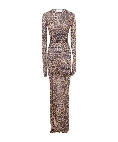 Blumarine Print Jersey Dress In Multi