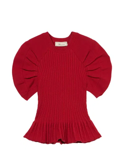 Blumarine Rib-knit Short-sleeve Sweater In Red