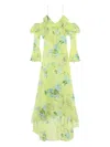 Blumarine Ruffled Floral Maxi Dress In Multi