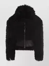 Blumarine Long-sleeved Hooded Cotton Jacket In Black