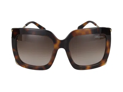 Blumarine Sunglasses In Multicolor