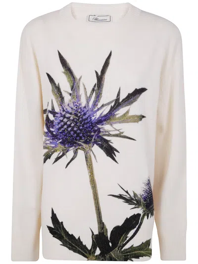 Blumarine "thistle" Print Knit Round Neck Sweaterthistle Print Knit Round Neck Sweater In Neutral