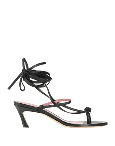 Blumarine Woman Thong Sandal Black Size 7 Leather