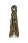 Blumarine Georg Leopard-print Maxi Dress In Multicolor