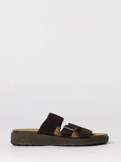 Blundstone Shoes Woman In Multi