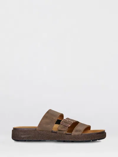 Blundstone Shoes Men Color Brown In Pattern