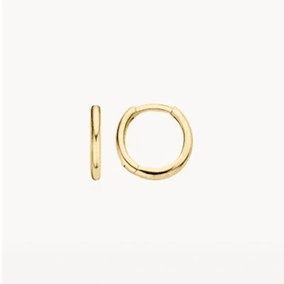 Blush 14k Yellow Gold Clicker 11.3mm Hoop Earrings