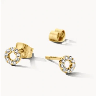 Blush 14k Yellow Gold Pave Circle Stud Earrings