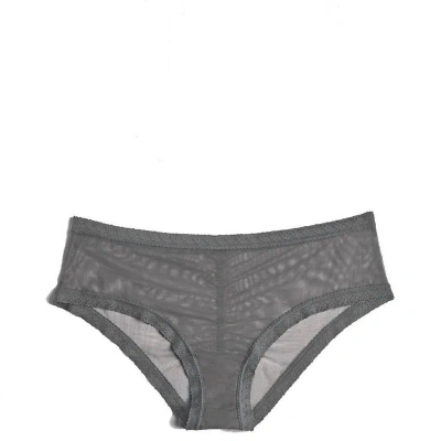 Blush Lingerie Mesh Lace Trim Hipster Panty In Lunar In Grey