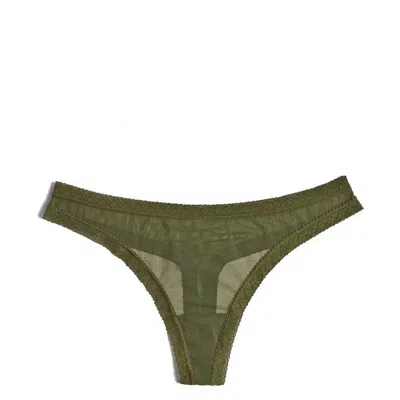 Blush Lingerie Mesh Lace Trim Thong Panty In Moss In Green