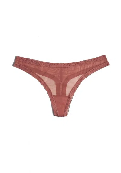 Blush Lingerie Mesh Lace Trim Thong Panty In Nutmeg In Brown