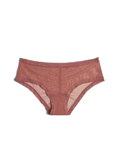 Blush Lingerie Women's Mesh Lace Trim Hipster Panty In Nutmeg In Brown
