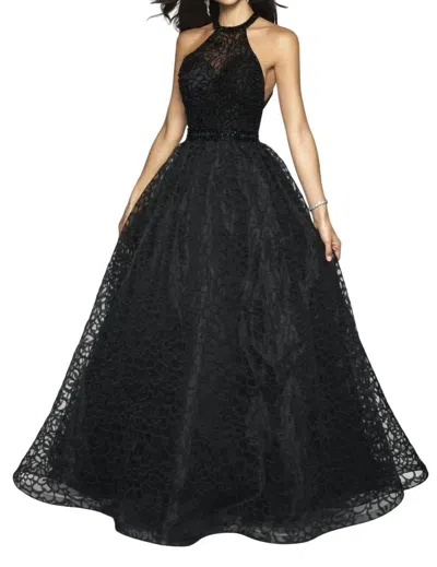 Blush Prom Patterned Organza Halter Ballgown In Black