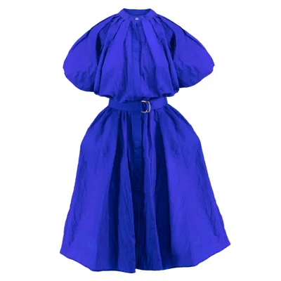 Bluzat Women's Electric Blue Dress With Raglan Sleeve And Pleats