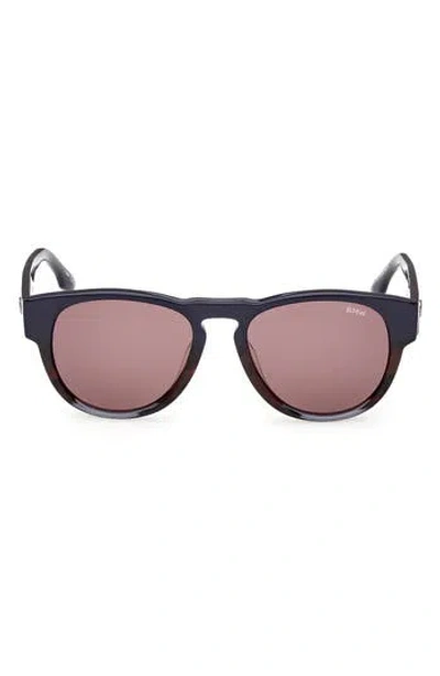 Bmw 53mm Round Sunglasses In Brown