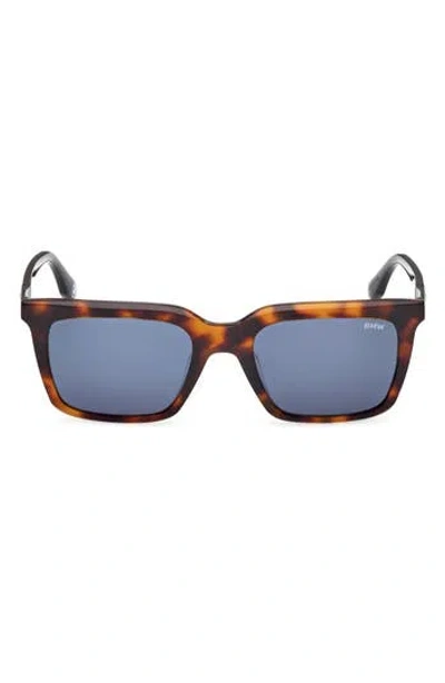 Bmw 53mm Sunglasses In Brown