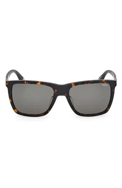 Bmw 56mm Sunglasses In Brown