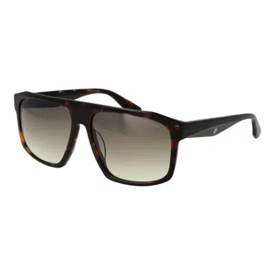 Bmw Brown Plastic Sunglasses In Black