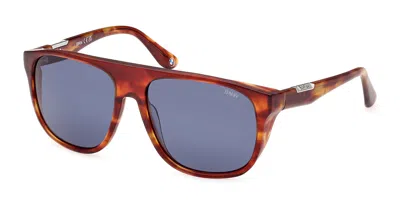Bmw Bw0041-h 54v Men's Sunglasses Tortoiseshell Size 58 In Brown