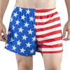 Boa 3.75" V-notch Running Short In American Flag