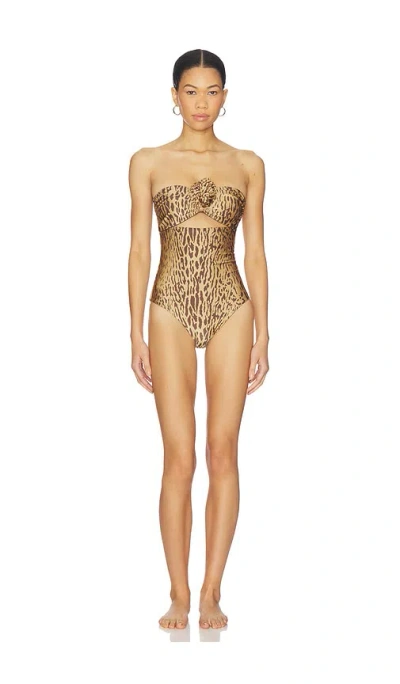 Boamar Love One Piece In Brown
