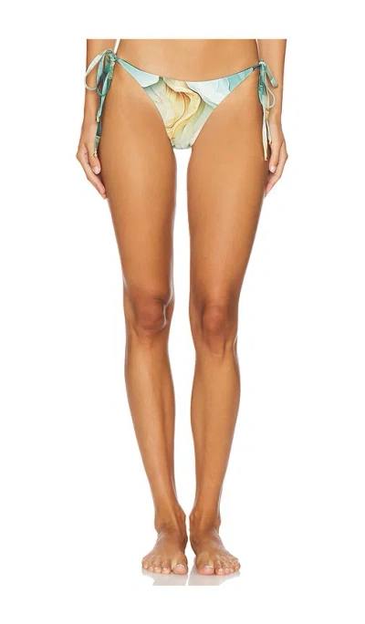 Boamar Naos Bottom In Aura Swirl