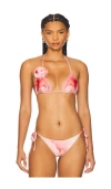Boamar Sun Bikini Top In Pink