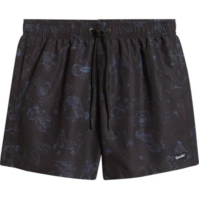 Boardies Animal Print Swim Trunks In Multi