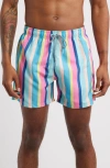 Boardies Cake Stripe Mid Length Swim Trunks In Blue/pink
