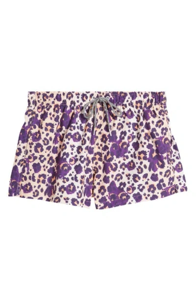 Boardies Cheetah Shortie Swim Trunks In Purple Multi
