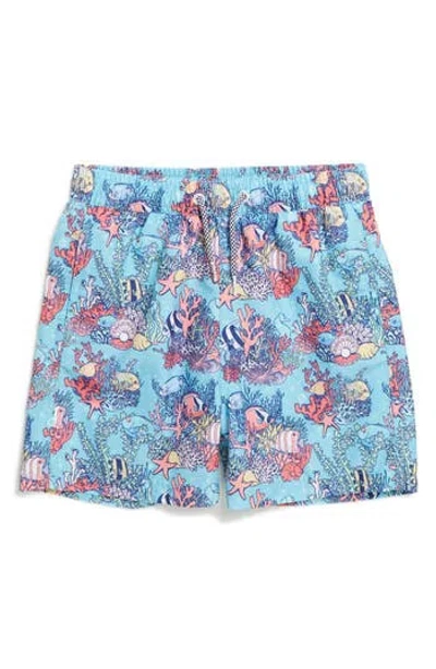 Boardies Kids' Swim Trunks In Blue
