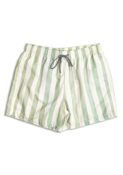 Boardies Men's Fistral Stripe 4.7" Swim Trunks In Green/white In Multi