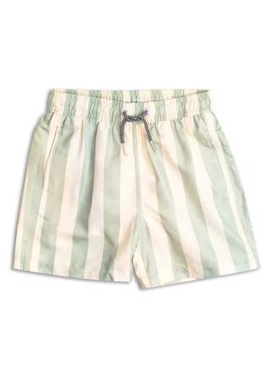 Boardies Men's Kids Fistral Stripe Swim Trunks In Green/white In Multi