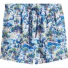Boardies Printed Swim Trunks In Multi