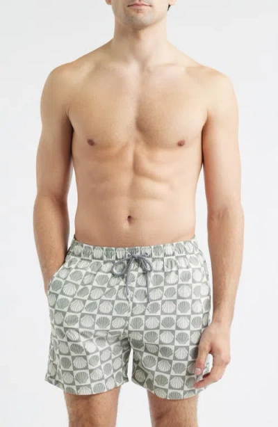 Boardies Seashell Print Swim Trunks In Gray